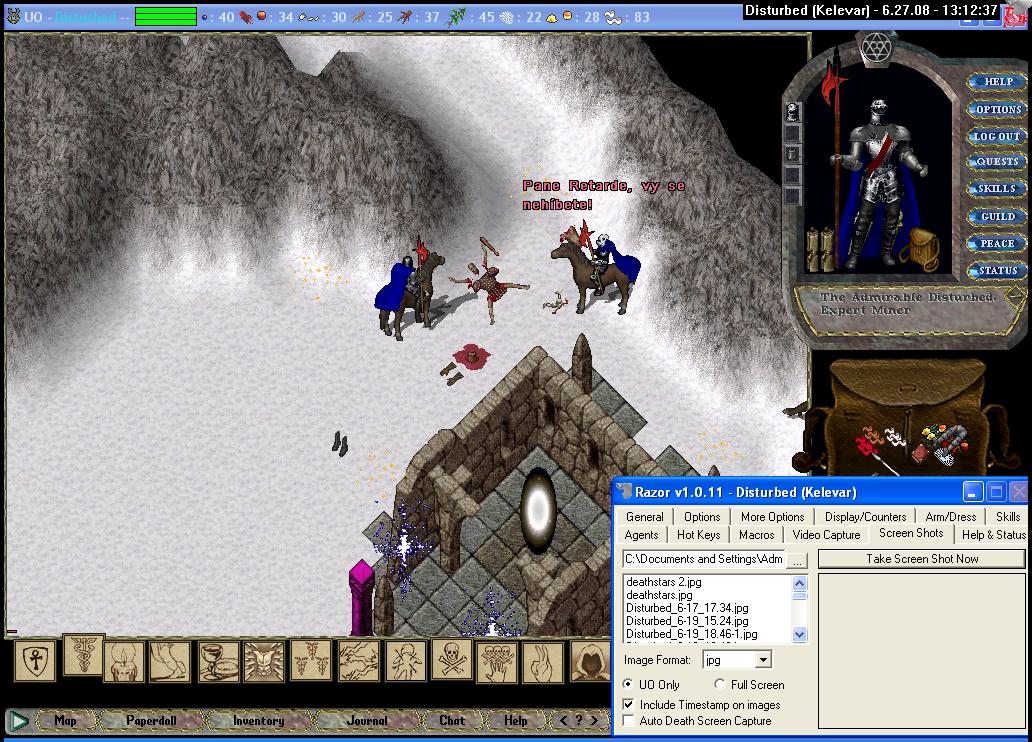 Disturbed_6-27_13.12-3.jpg